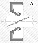 Чертеж сечения сальника
